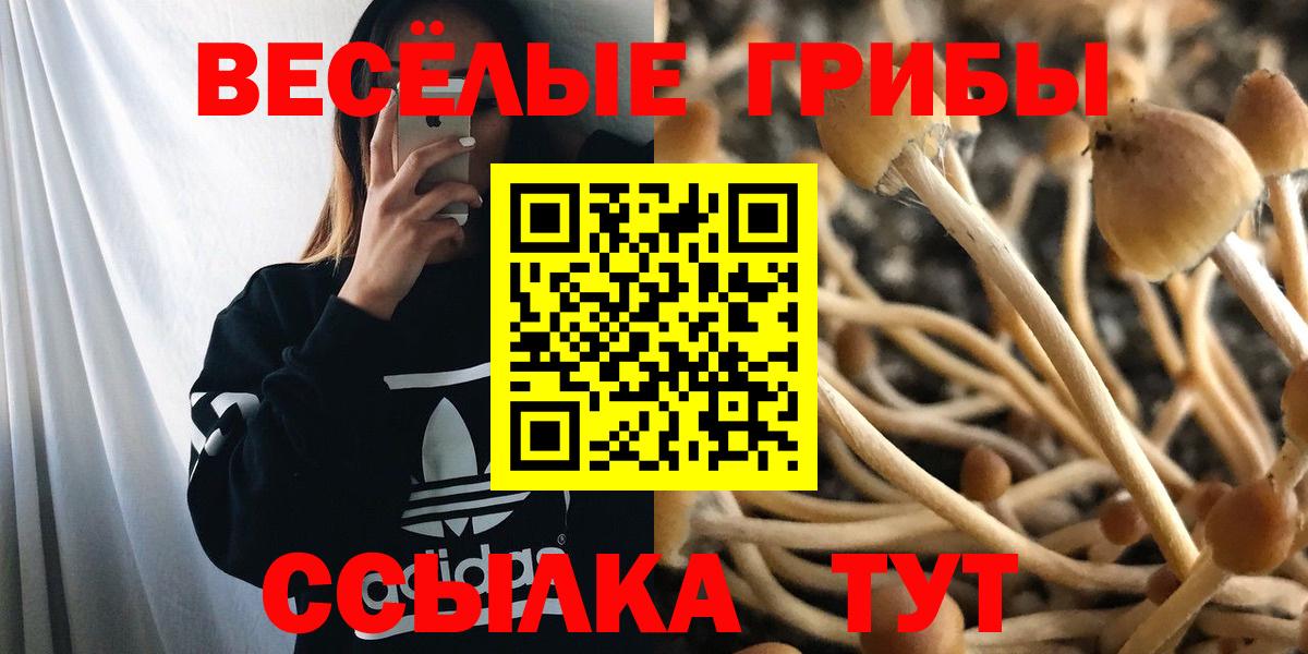 цены   Галлюциногенные грибы мухоморы  Вход с VPN  Дзержинский 