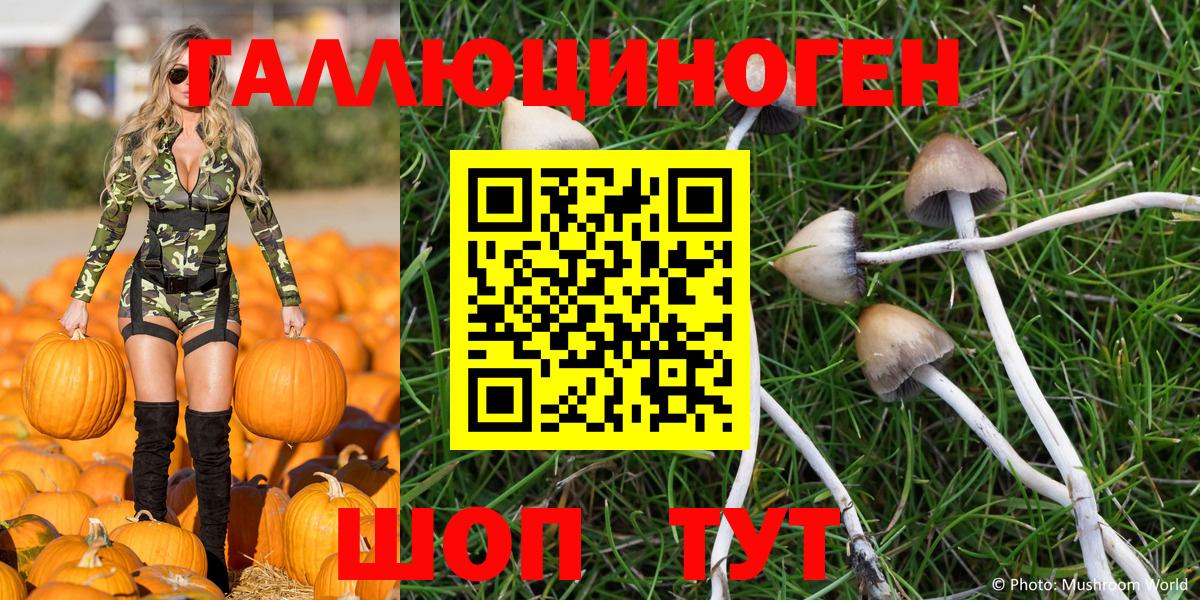 Псилоцибиновые грибы Psilocybe Дзержинский